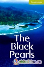 The Black Pearls Starter