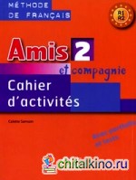 Amis et compagnie 2: A1-A2. Cahier d'activites