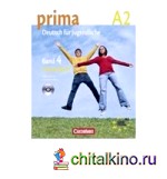 Prima 4 Arbeitsbuch mit CD (+ CD-ROM)