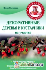 Декоративные деревья и кустарники на участке