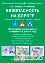 Безопасность на дороге: Беседы по картинкам. Основные понятия