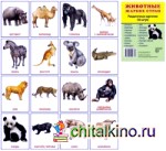 Демонстрационные картинки Супер: Животные жарких стран 16 раздаточных карточек с текстом