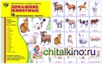 Демонстрационные картинки Супер: Домашние животные. 16 демонстрационных картинок с текстом