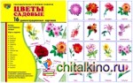 Демонстрационные картинки Супер: Цветы садовые. 16 демонстрационных картинок с текстом