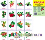 Демонстрационные картинки Супер: Ягоды. 16 раздаточных карточек с текстом