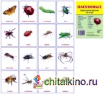 Демонстрационные картинки Супер: Насекомые. 16 раздаточных карточек с текстом