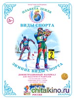 Дидактический демонстрационный материал: Тема «Спорт». Зимние виды спорта