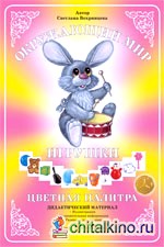 Дидактический материал: Окружающий мир. Цветная палитра. Игрушки