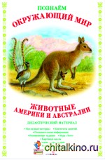 Дидактический материал: Животные Америки и Австралии