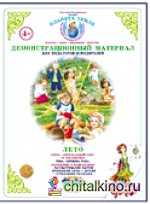 Дидактический материал: Познавательно-речевое развитие детей. Времена года. Лето. ФГТ