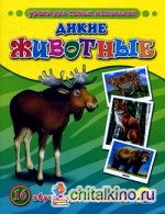 Дикие животные: 16 обучающих карточек