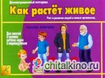 Игра «Как растет живое»