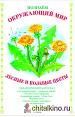 Лесные и полевые цветы