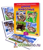 Наглядно-дидактическое пособие «Дикие животные»