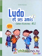 Ludo et ses amis niveau 2 cahier