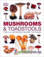 Mushrooms and Toadstools