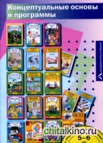 Концептуальные основы и программы: Концепция системы ПНП