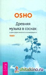 Древняя музыка в соснах: в дзен разум внезапно останавливается