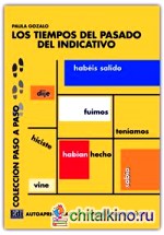 Los Tiempos Del Pasado Del Indicativo