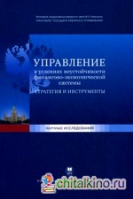 Управление в условиях неустойчивости финансово-экономической системы: стратегия и инструменты