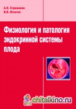 Физиология и патология эндокринной системы плода