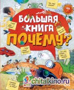 Большая книга Почему?