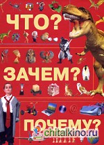 Что? Зачем? Почему?
