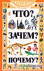 Что? Зачем? Почему?