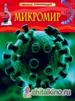 Микромир