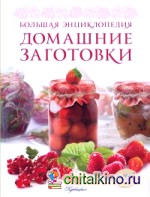 Домашние заготовки: Большая энциклопедия