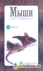 99 советов: Декоративные мыши