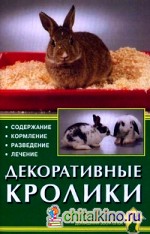 Декоративные кролики: Содержание. Кормление. Разведение. Лечение