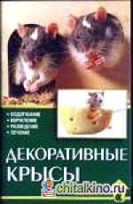 Декоративные крысы