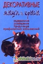 Декоративные мыши и крысы
