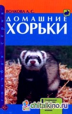 Домашние хорьки: Содержание. Кормление. Воспитание. Разведение. Болезни и лечение