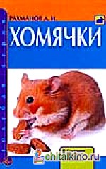 Хомячки