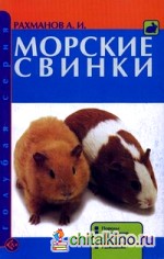 Морские свинки: Породы. Содержание и уход. Кормление. Разведение