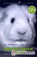 Морские свинки: Правила ухода