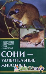 Сони-удивительные животные