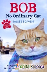 Bob: No Ordinary Cat