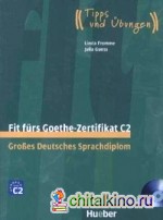 Fit Furs Goethe-Zertifikat (+ Audio CD)