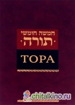 Тора