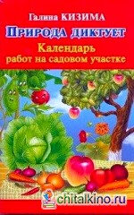 Природа диктует: Календарь работ на садовом участке