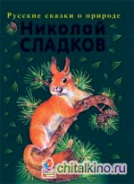 Лесные сказки