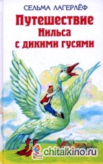 Удивительное путешествие Нильса Хольгерсона с дикими гусями