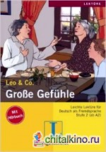 Große Gefühle (+ Audio CD)