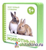 Домашние животные