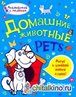 Домашние животные