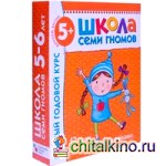 Полный годовой курс занятий с детьми 5-6 лет (12 книг в подарочной упаковке) (количество томов: 12)