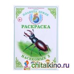 Раскраска: Насекомые-2